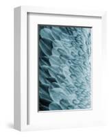 Volture I-Design Fabrikken-Framed Art Print