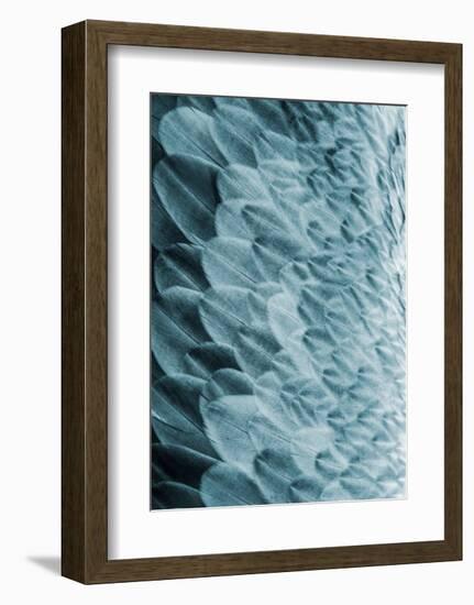 Volture I-Design Fabrikken-Framed Art Print