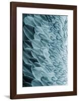 Volture I-Design Fabrikken-Framed Art Print