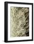 Volture II-Design Fabrikken-Framed Art Print