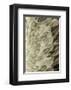 Volture II-Design Fabrikken-Framed Art Print