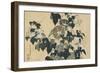 Volubilis et reinette-Katsushika Hokusai-Framed Giclee Print