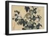 Volubilis et reinette-Katsushika Hokusai-Framed Giclee Print