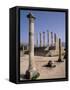 Volubilis Roman Ruins in Morocco-Tibor Bogn?r-Framed Stretched Canvas