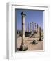 Volubilis Roman Ruins in Morocco-Tibor Bogn?r-Framed Photographic Print