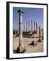 Volubilis Roman Ruins in Morocco-Tibor Bogn?r-Framed Photographic Print