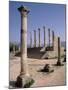 Volubilis Roman Ruins in Morocco-Tibor Bogn?r-Mounted Photographic Print