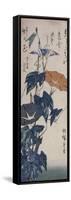 Volubilis-Ando Hiroshige-Framed Stretched Canvas