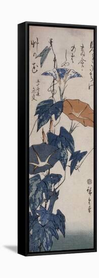 Volubilis-Ando Hiroshige-Framed Stretched Canvas