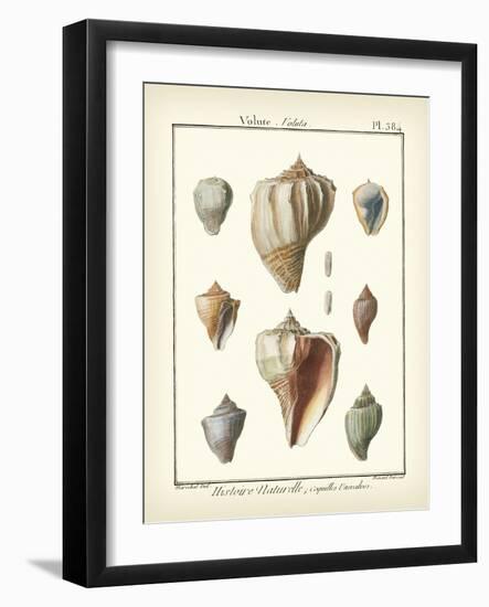 Volute Shells, Pl.384-Diderot-Framed Art Print