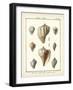 Volute Shells, Pl.384-Diderot-Framed Art Print