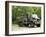 Volvo N10 Truck of the Belgian Army-Stocktrek Images-Framed Photographic Print