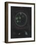 Volvox: Monas: Trachelomonas: Euglena-Philip Henry Gosse-Framed Giclee Print