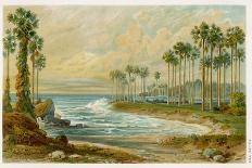 Palmyra Palms Provide Little Shade on a Sri Lanka Beach-Von Konigsbrunn-Framed Stretched Canvas