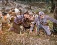 Laminate