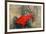 Von Tripps-Peter Miller-Framed Premium Giclee Print