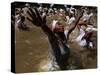 Voodoo Believers Perform a Ceremony at a Sacred Pool in Souvenance, Haiti-null-Stretched Canvas