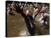 Voodoo Believers Perform a Ceremony at a Sacred Pool in Souvenance, Haiti-null-Stretched Canvas