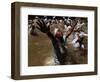 Voodoo Believers Perform a Ceremony at a Sacred Pool in Souvenance, Haiti-null-Framed Photographic Print