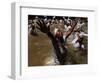 Voodoo Believers Perform a Ceremony at a Sacred Pool in Souvenance, Haiti-null-Framed Photographic Print