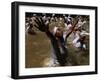 Voodoo Believers Perform a Ceremony at a Sacred Pool in Souvenance, Haiti-null-Framed Photographic Print