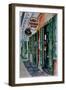 Voodoo Shop, New Orleans, 2013-Anthony Butera-Framed Giclee Print