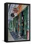 Voodoo Shop, New Orleans, 2013-Anthony Butera-Framed Stretched Canvas