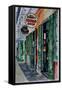 Voodoo Shop, New Orleans, 2013-Anthony Butera-Framed Stretched Canvas