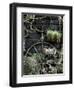 Voovu-Tim Kahane-Framed Photographic Print