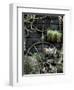 Voovu-Tim Kahane-Framed Photographic Print