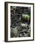 Voovu-Tim Kahane-Framed Photographic Print