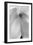 Vortex Of Beauty, 2008-Hiroyuki Arakawa-Framed Photographic Print