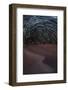 Vortex star trail in the Rub al Khali desert in Oman, Rub al Khali, Oman, Middle East-Francesco Fanti-Framed Photographic Print