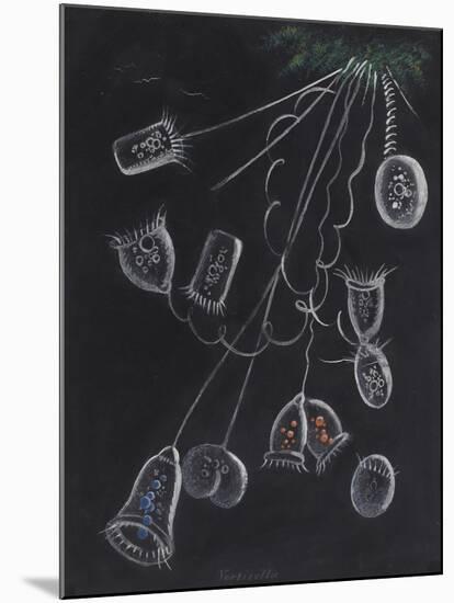 Vorticella-Philip Henry Gosse-Mounted Giclee Print