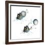 Vostok 1 Capsule Separation, Artwork-Detlev Van Ravenswaay-Framed Photographic Print