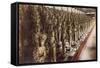 Votary Statues at a Temple in Kyoto-null-Framed Stretched Canvas