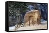 Votive Niche in the Siq Gorge, Petra-null-Framed Stretched Canvas