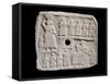 Votive Tablet Relief of Urnanshe, King of Lagash-null-Framed Stretched Canvas