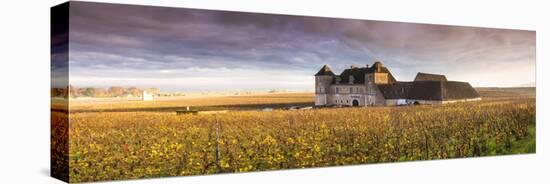 Vougeot Castle and Vineyards, Burgundy, France-Matteo Colombo-Stretched Canvas