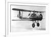 Vought 03U-3 Observation Bi-Plane-null-Framed Premium Giclee Print