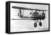 Vought 03U-3 Observation Bi-Plane-null-Framed Stretched Canvas