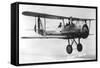 Vought 03U-3 Observation Bi-Plane-null-Framed Stretched Canvas