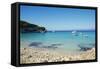 Voutoumi Beach, Antipaxos, Antipaxi, Ionian Islands, Greek Islands, Greece, Europe-Tuul-Framed Stretched Canvas