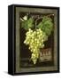 Vouvray-Kate Ward Thacker-Framed Stretched Canvas