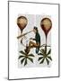 Voyage a La Lune Hot Air Balloon-Fab Funky-Mounted Art Print