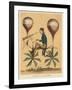 Voyage a la Lune-Vintage Reproduction-Framed Art Print