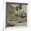 Voyage en Algérie : vue d'une palmeraie-Henri Jacques Edouard Evenepoel-Framed Giclee Print