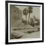 Voyage en Algérie : vue d'une palmeraie-Henri Jacques Edouard Evenepoel-Framed Giclee Print