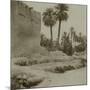 Voyage en Algérie : vue d'une palmeraie-Henri Jacques Edouard Evenepoel-Mounted Giclee Print