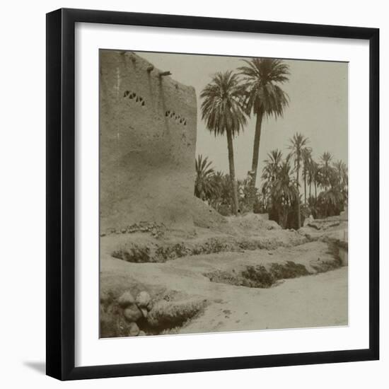 Voyage en Algérie : vue d'une palmeraie-Henri Jacques Edouard Evenepoel-Framed Giclee Print